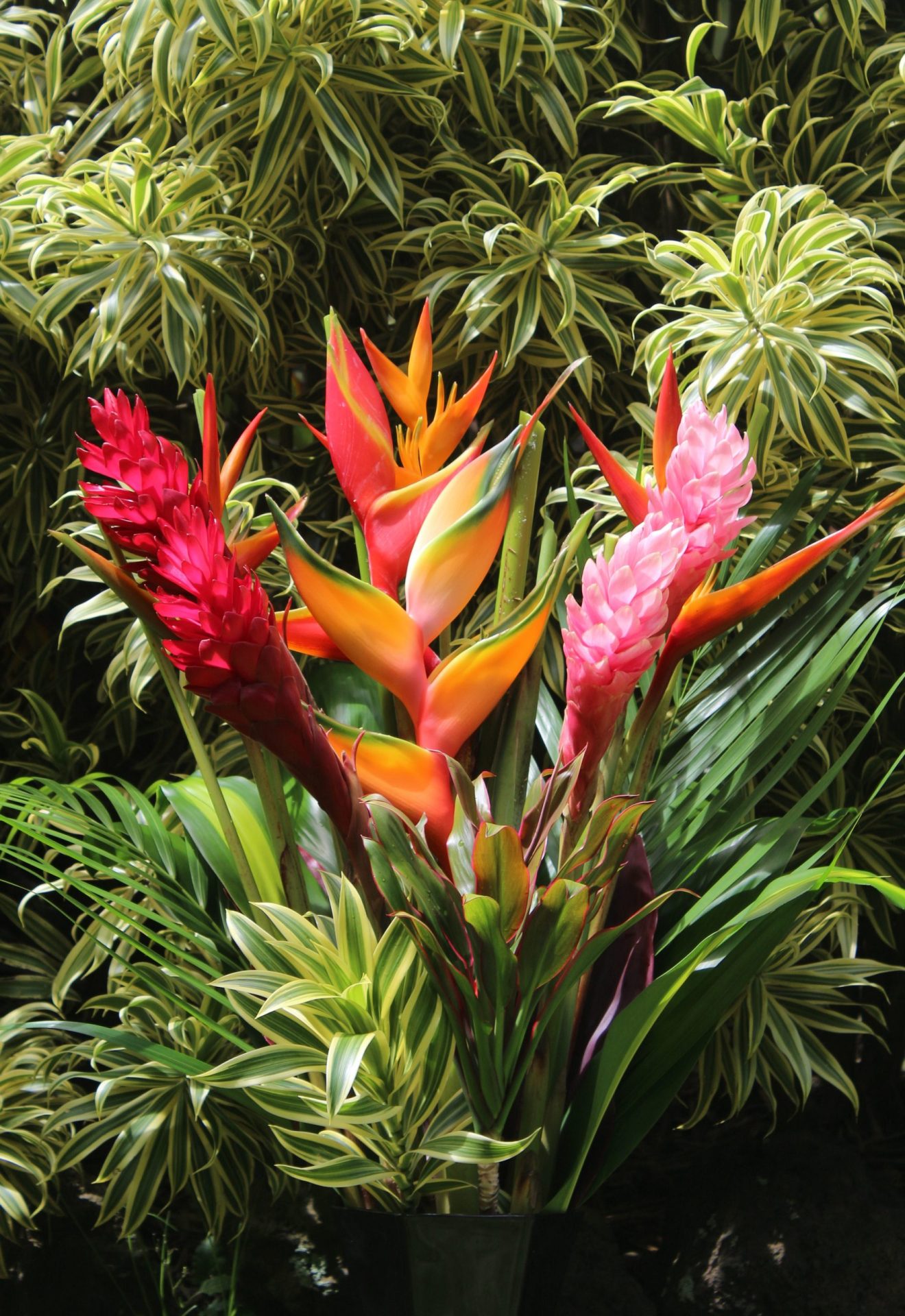 Exotic Bouquet Tropical Flowers Bouquets Of Hawaii