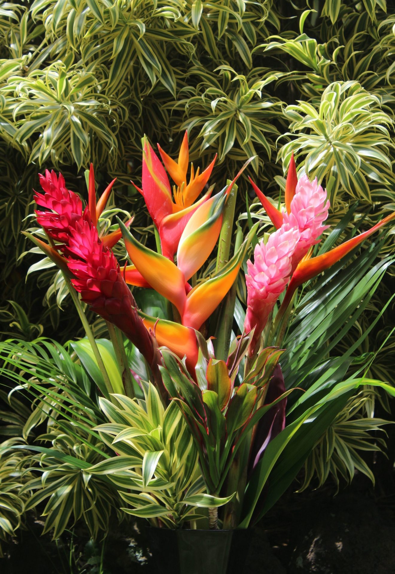 Home Page | Tropical Flowers & Bouquets of Hawaii