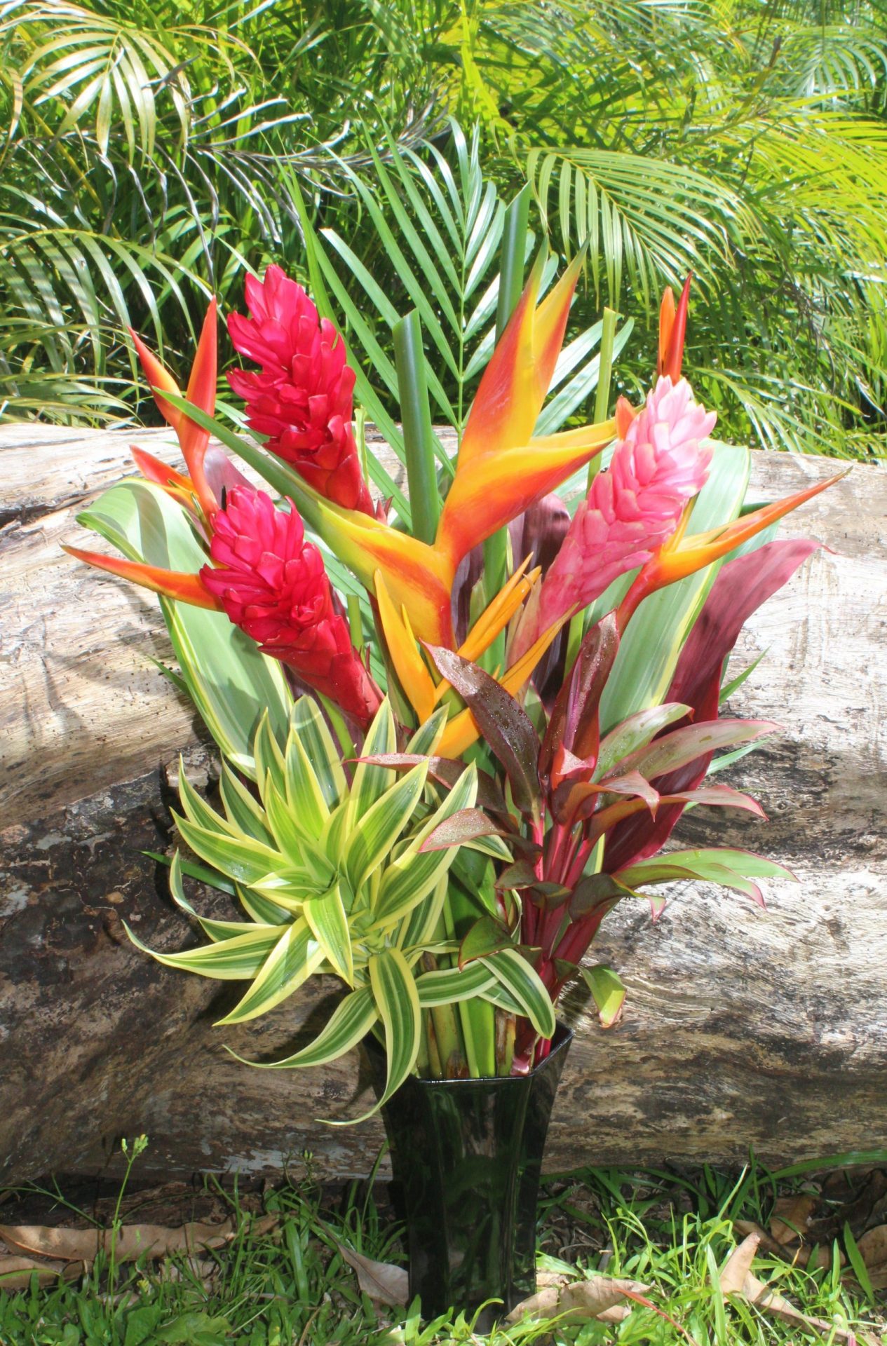 Home Page | Tropical Flowers & Bouquets of Hawaii